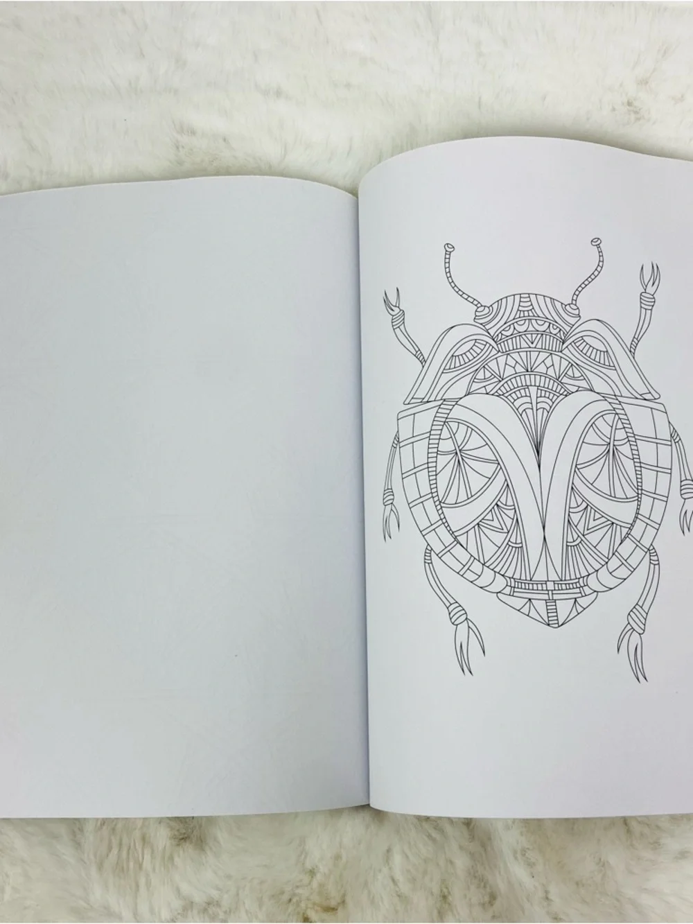 Soothing Color Enchanting Collection Coloring Book dream catcher Teal & Magenta